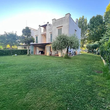 Apartment Azalee Con Giardino Al Mare Misano Adriatico