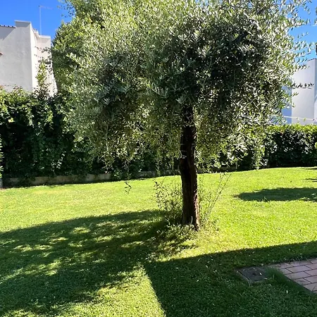 아파트 Azalee Con Giardino Al Mare 미사노아드리아티코